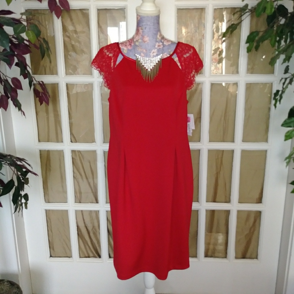 Alex Evening Special Occasion Dress NWT